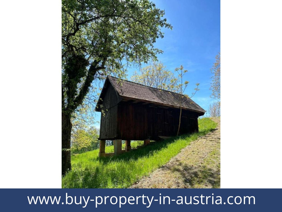 buy-property-in-austria-bad gams-8524-20251010221816-0032401008.jpg